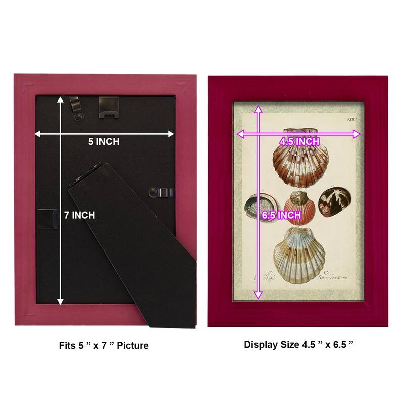 Bookplate Shells III -Framed Print w/glass-Cherry Red