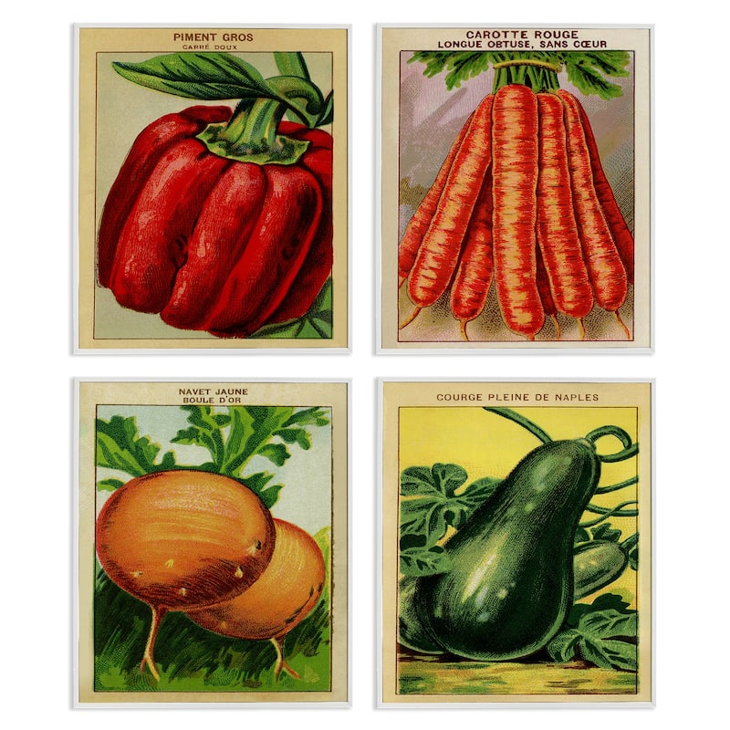 Stupell Rustic Garden Vegetables Framed Giclee Art Design By Lil' Rue (Set of 4) - 11 x 14 - White