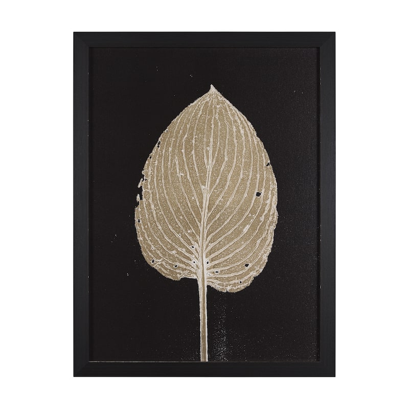 Hosta C