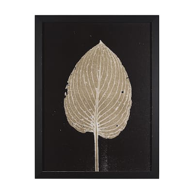 Hosta C