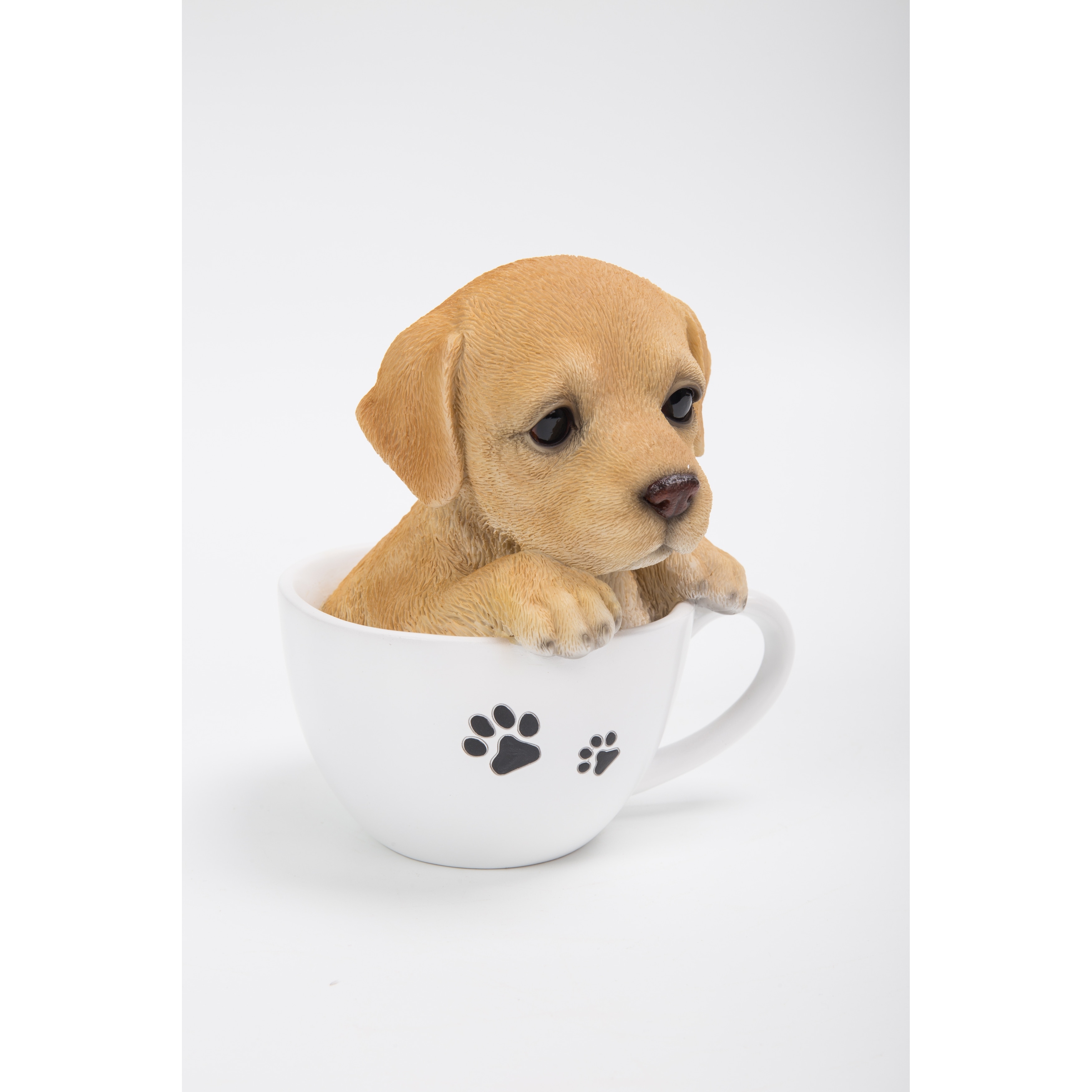 Teacup sales pup corporation