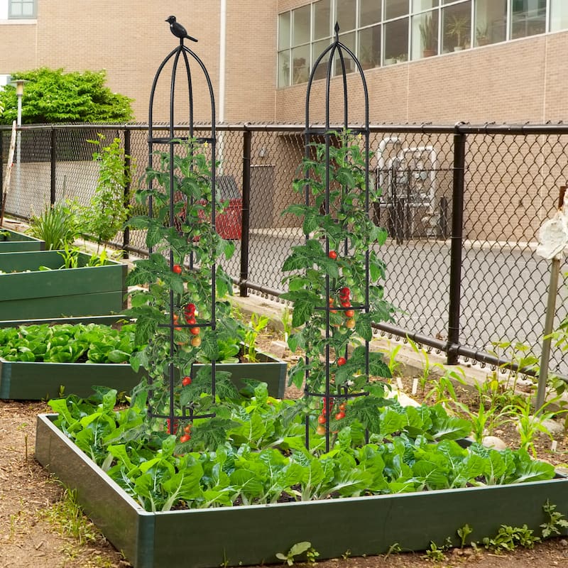Gymax 2-Pack Garden Obelisk Trellis for Climbing Plants Rustproof