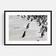 Boulders Beach Cape Town South Africa Photography Art Print Poster 