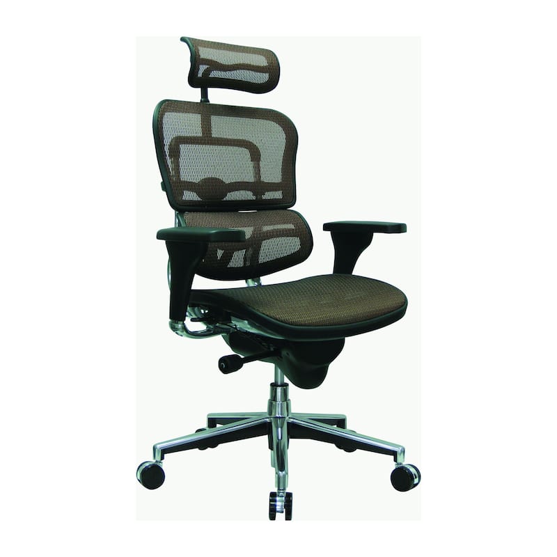 Eurotech Seating Ergohuman Mesh Managers Chair