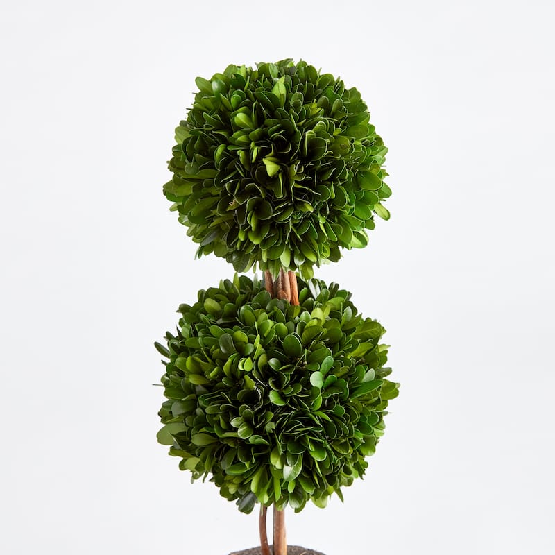 Double Sphere Topiary Drop-In 20"