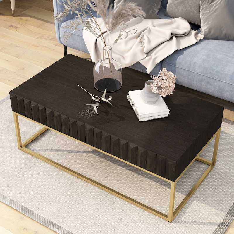 Bird Contemporary 47-inch Steel 2-Drawer Coffee Table by Furniture of America