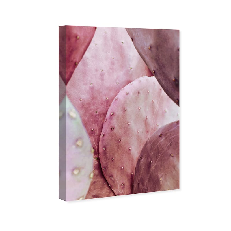 Wynwood Studio Canvas Floral and Botanical Cactus in Detail Pink and Modern & Contemporary Wall Art Canvas Print
