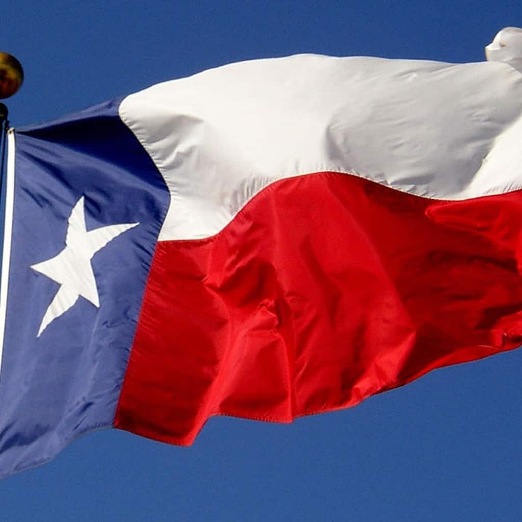 3'x5' State of Texas Outdoor Nylon Flag