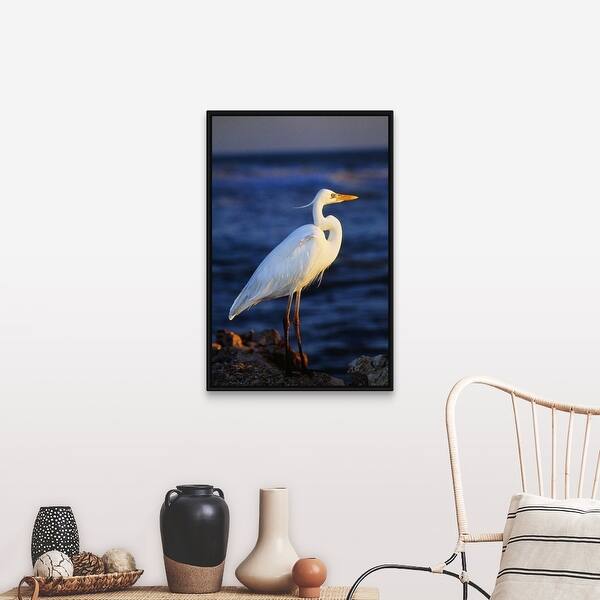 Great White Heron Bird On Beach Profile Captiva Island Florida Black Float Frame Canvas Art Overstock 25523362