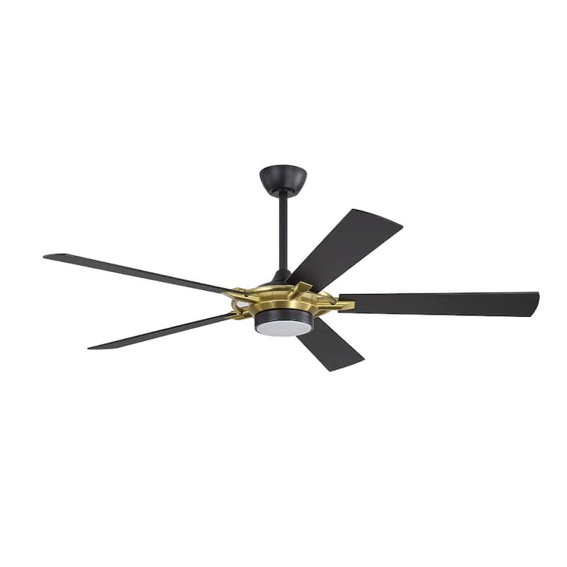 MLiAN 60 In. 5-Plywood Blades Indoor Ceiling Fan with Light Kit and Remote