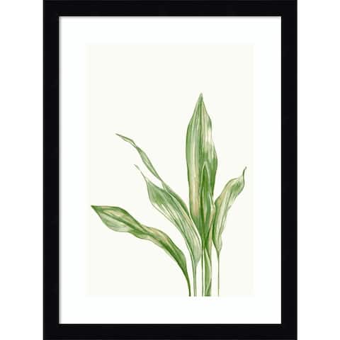 Cast Iron Plant II by and Slyp Errico Framed Art Print