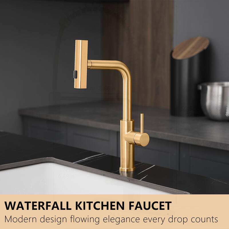 Versatile Kitchen Sink Faucet with Pull Out Sprayer