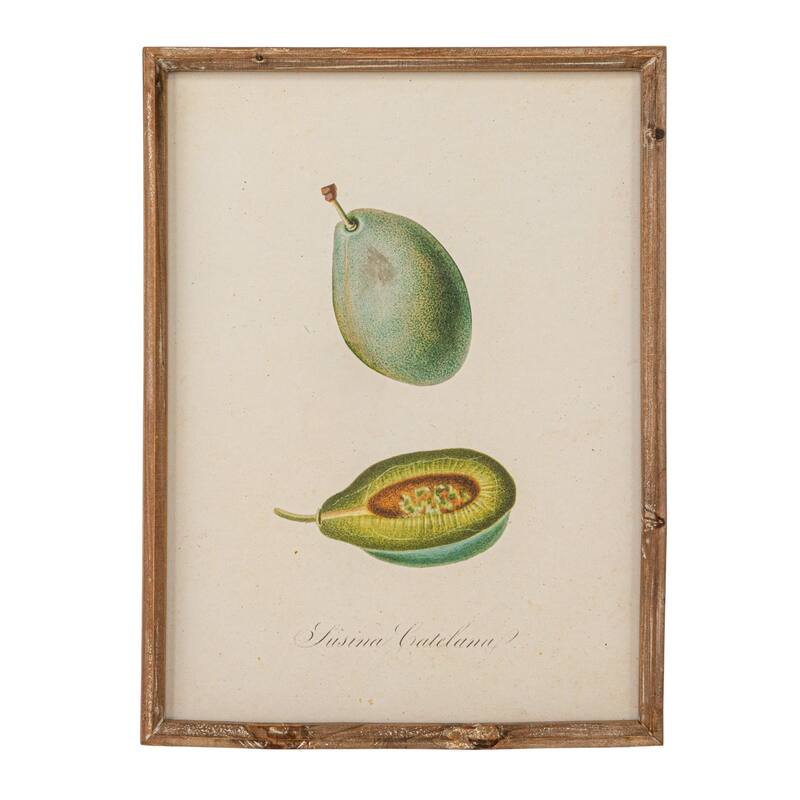 Reclaimed Wood Framed Fruit Print Wall Art