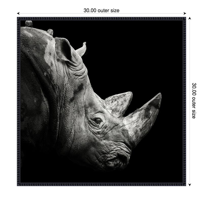 Rhino by Christian Meermann Framed Canvas Wall Art Print - 30 x 30 in