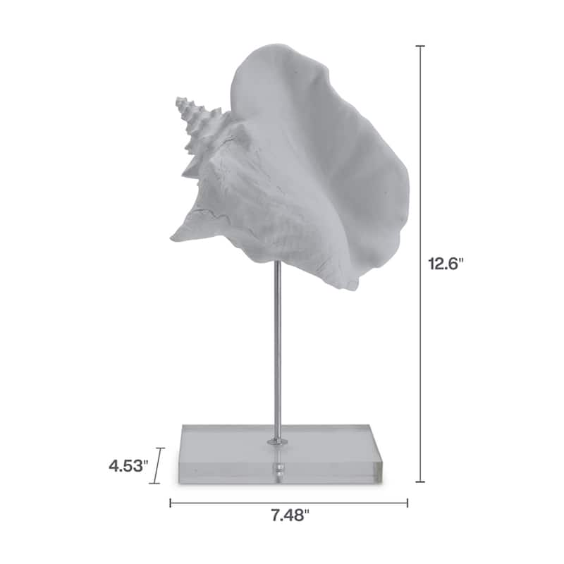 Elements White Conch Seashell Figurine, 7X12 Inch