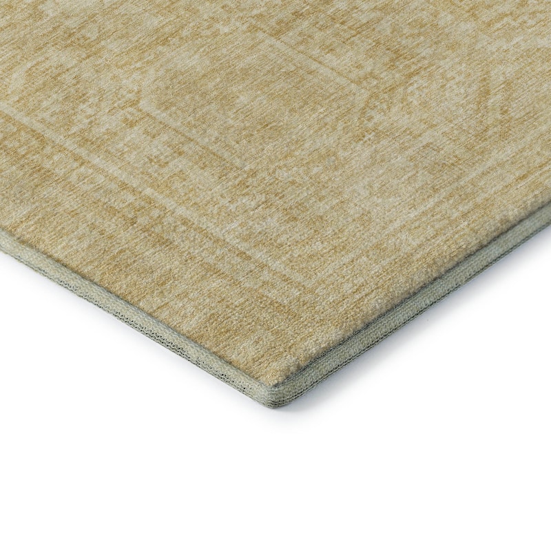 Premium Washable Super Soft Traditional Global Mayfield Rug