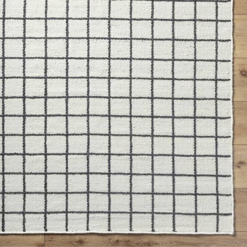 Chris Transitional Checkered Wool Area Rug