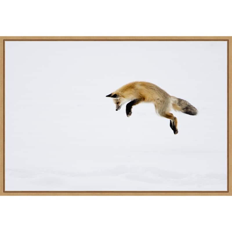 Red Fox in Snow by Deborah Winchester Framed Canvas Art