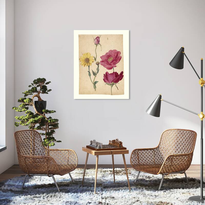 Wynwood Studio Canvas Floral and Botanical Jacques Le Moyne - French Roses and Oxeye Daisy Studies Wall Art Canvas Print - 30 x 36