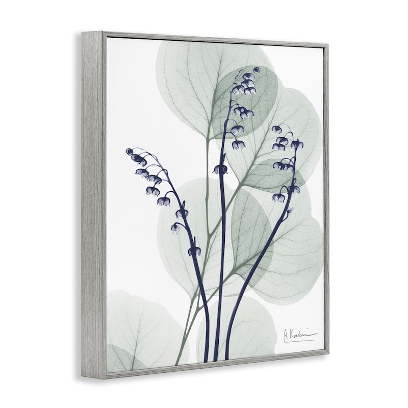 Stupell Serene Modern Eucalyptus Framed Giclee Art Design By Albert Koetsier