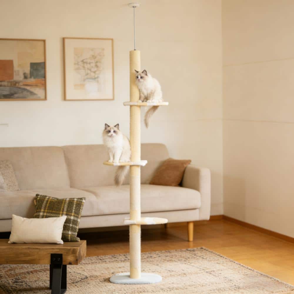 Cat Tree,4-Tier Floor to Ceiling Cat Tree
