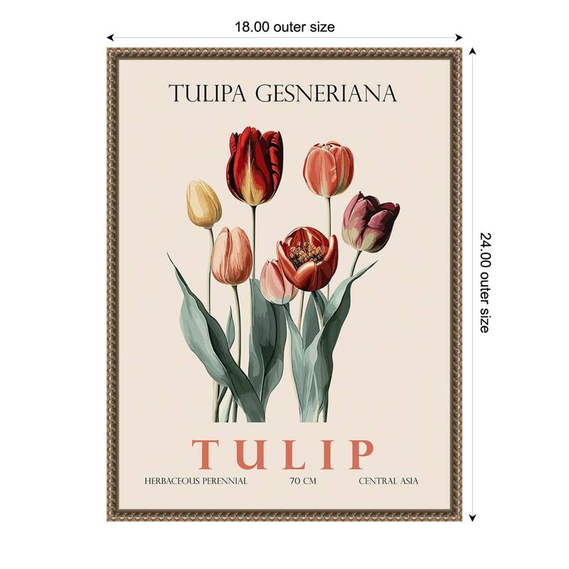 Vintage Botanical Tulip Illustration by Christopher Giampietro Framed Canvas Wall Art Print - Gold - 18 x 24 in