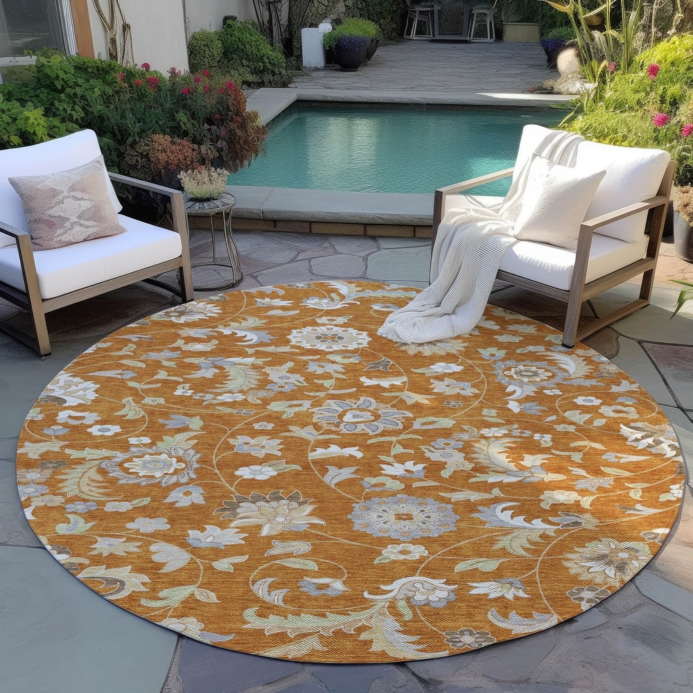 Machine Washable Indoor/ Outdoor Traditional Chantille Rug