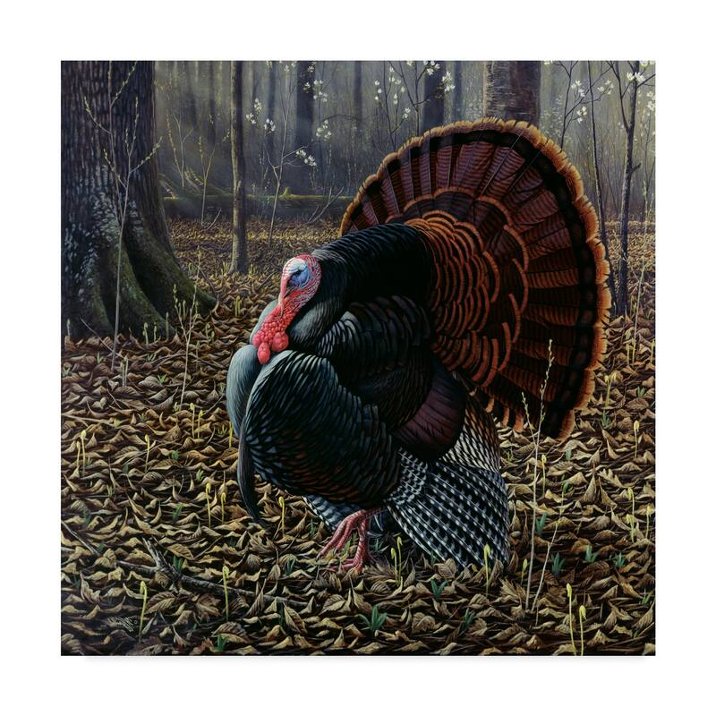 Wilhelm Goebel 'The King Of Spring Wild Turkey' Canvas Art