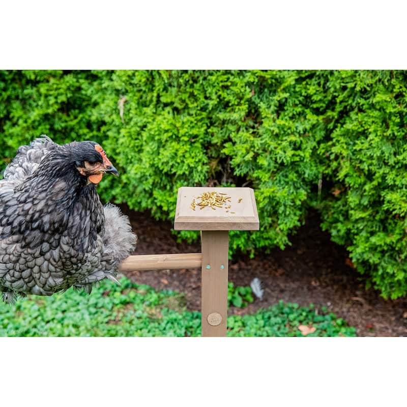 Zylina Play-N-Roost Double Roosting Perch - N/A - 15x15x40