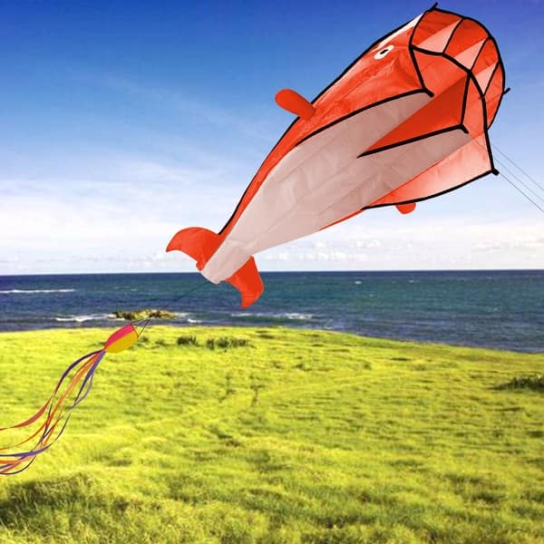 3D Kite Red Dolphin with Huge Frameless Soft Parafoil for Kids - On Sale -  Bed Bath & Beyond - 37179616