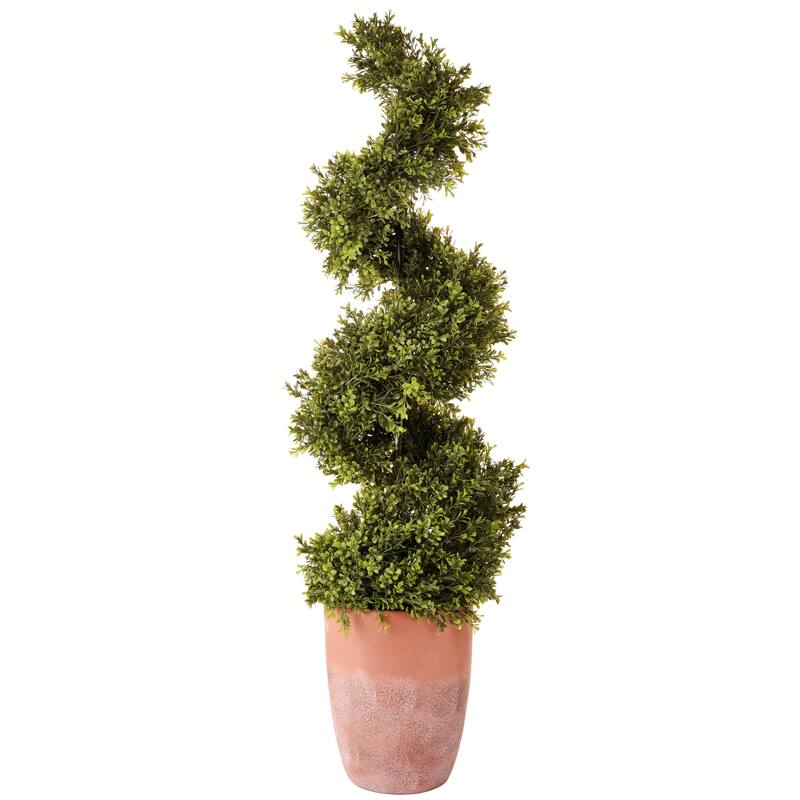Spring Boxwood Spiral Terracotta pot 52"