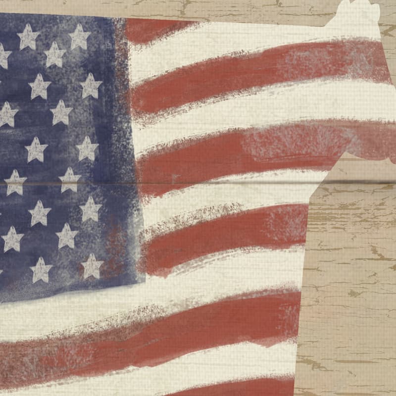 Cow Flag by Willowbrook Fine Art Canvas Art Print