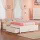 Option White