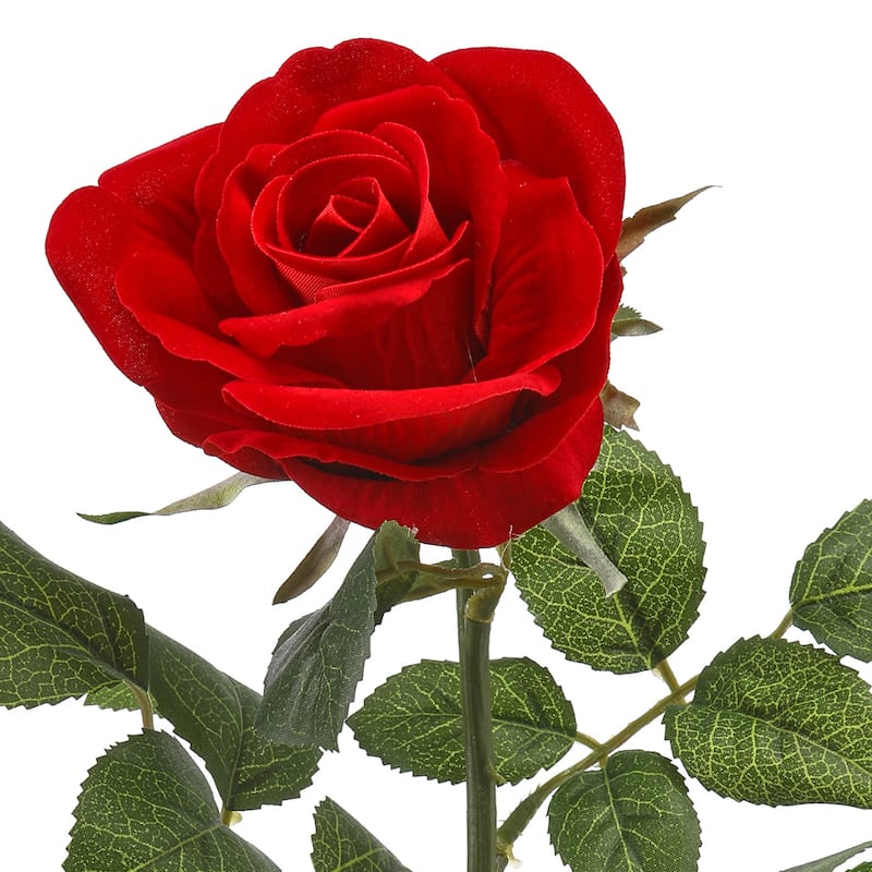 25" Velvet Rose Stem