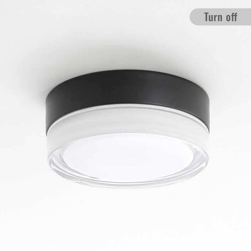 Small Size Flush Mount Ceiling Light 24W Glass Lampshade