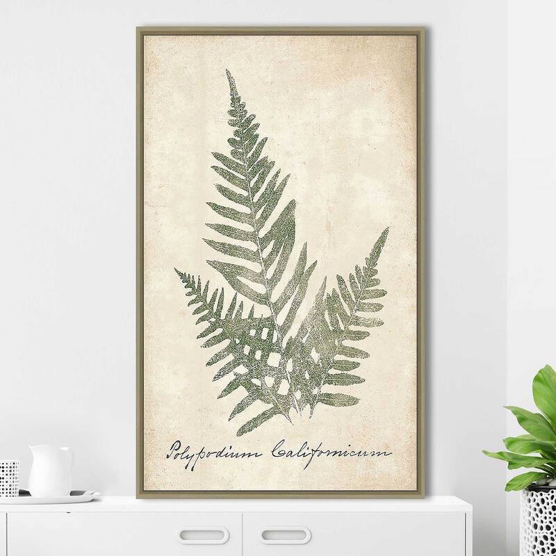 "Vintage Ferns XI" Print on Floating Canvas