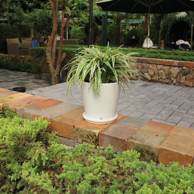 Pansy Ceramic Planter Set with Dish 2-pack