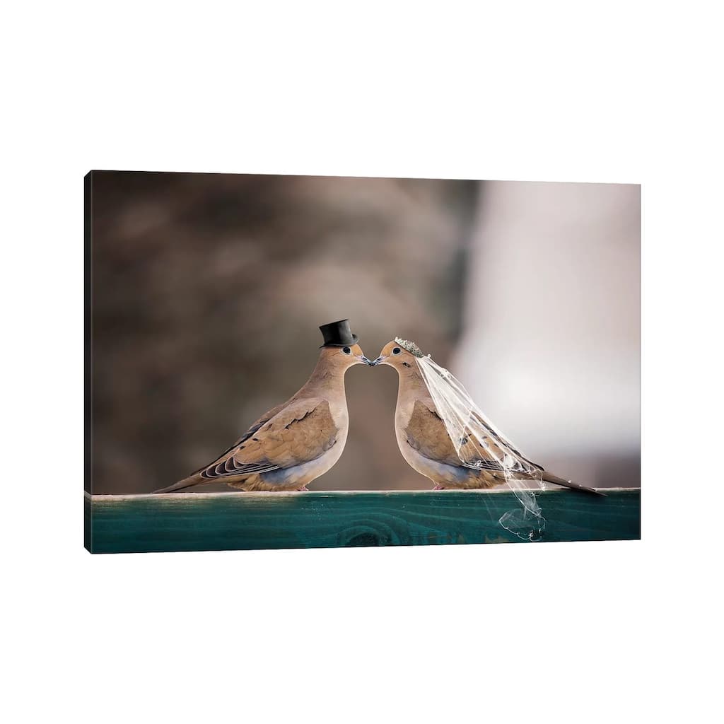 iCanvas "Mourning Dove Wedding" by Karen Burke Canvas Print