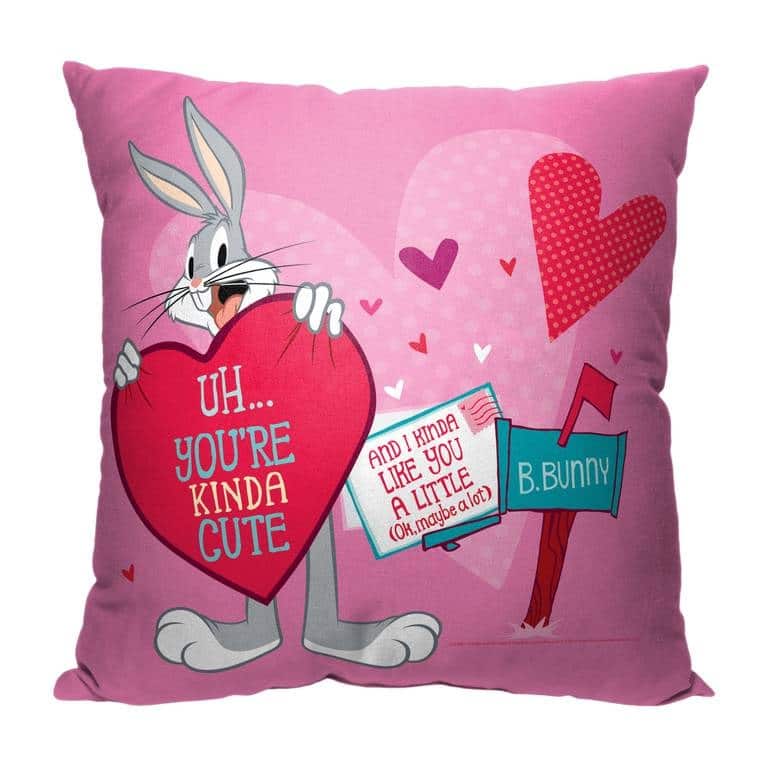 Warner Brothers Looney Tunes Looney Love Letter 18 Inch Throw Pillow