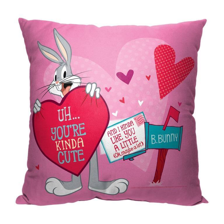 Warner Brothers Looney Tunes Looney Love Letter 18 Inch Throw Pillow