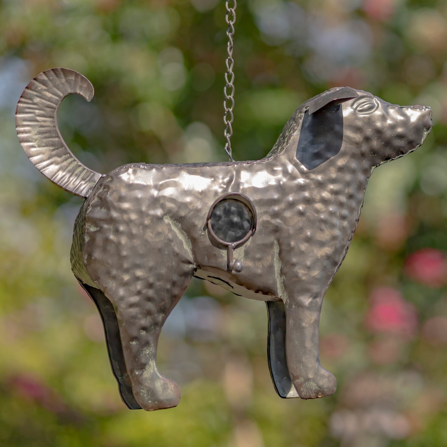 Bed bath and beyond dog best sale