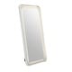 preview thumbnail 18 of 19, Furniture of America Inez Glam 71-inch Full Length Mirror with LED and Bluetooth Speaker
