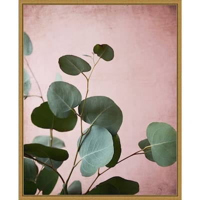 Sage Eucalyptus No. 2 by Lupen Grainne Framed Canvas Art