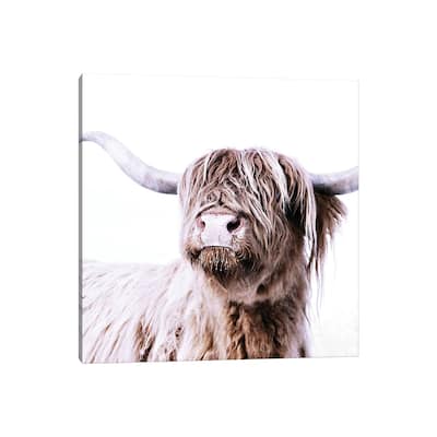 iCanvas "Highland Cattle Frida I Square" by Monika Strigel Canvas Print