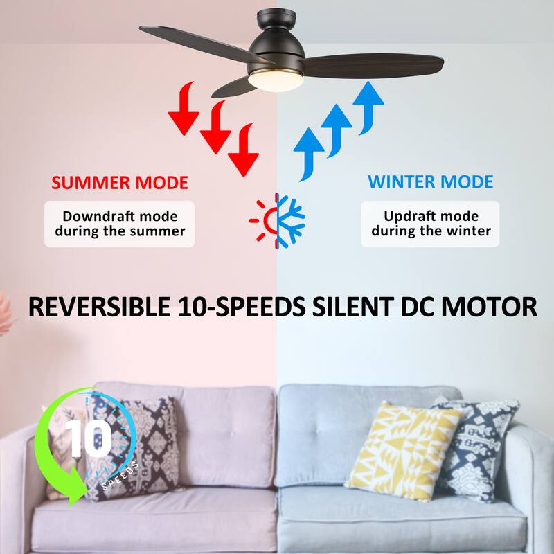 CARRO Quest 48" Smart Ceiling Fan with Light and Remote Control