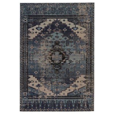 Cicero Indoor and Outdoor Medallion Area Rug