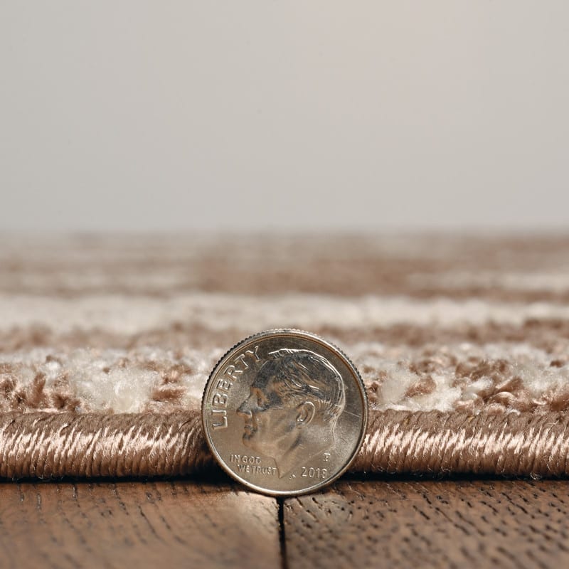 Allegra Bouey Costal Area Rug