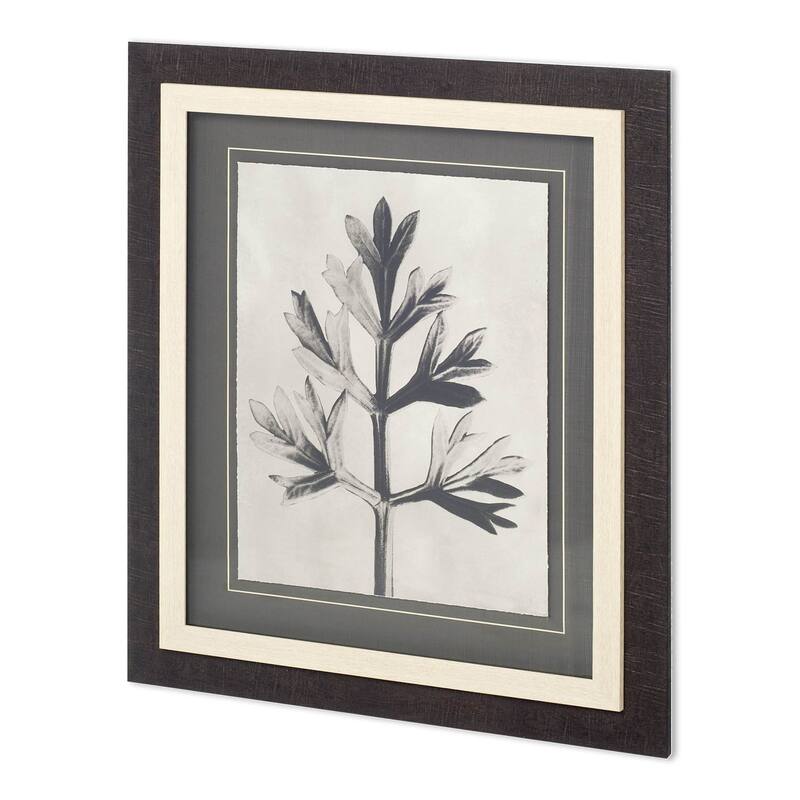 Custom Blossfeldt Botanical I Framed Art Print