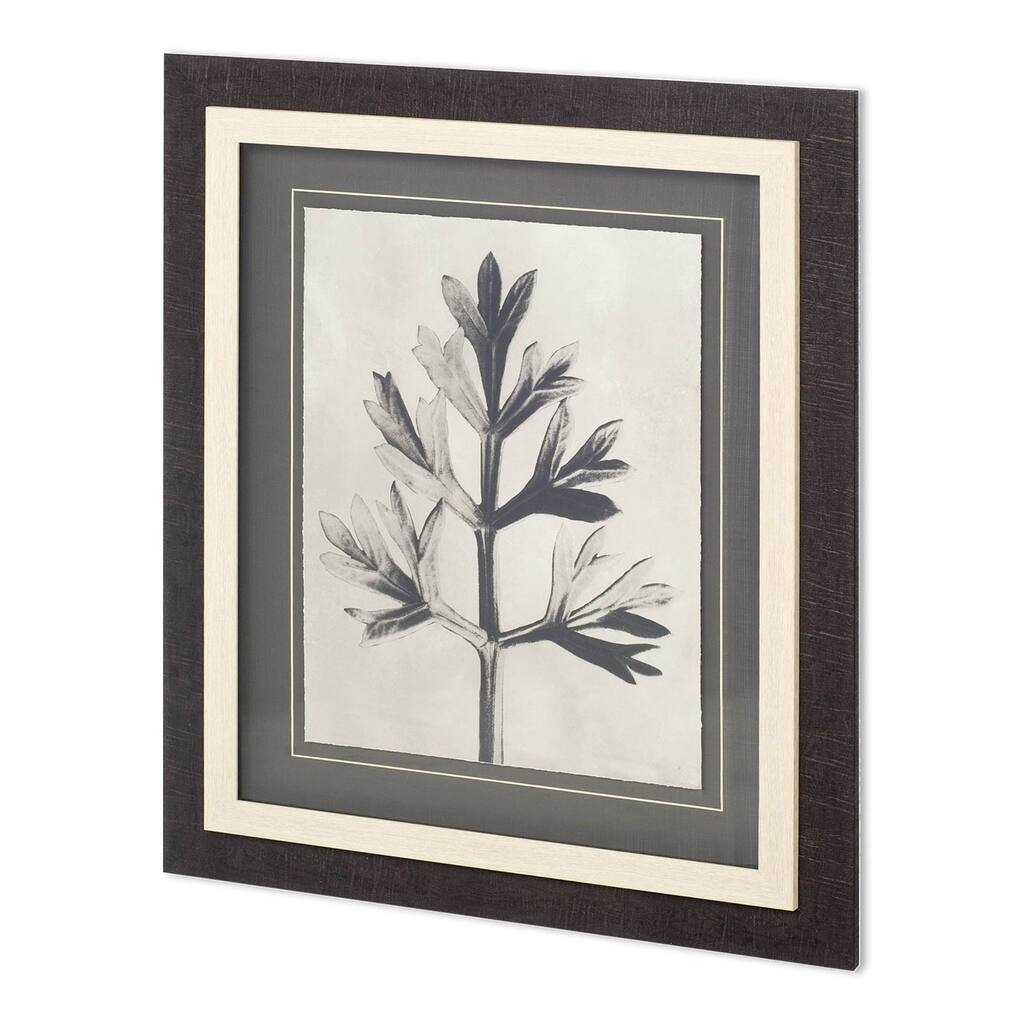 Custom Blossfeldt Botanical I Framed Art Print