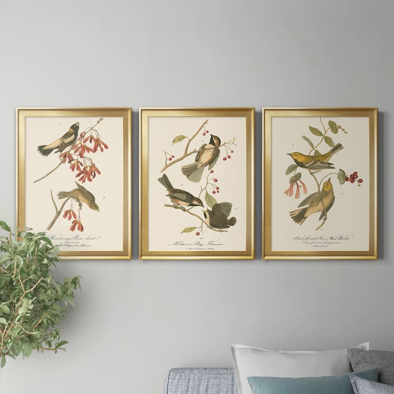 Wandering Rice Bird Premium Framed Canvas - Ready to Hang - Multi-Color
